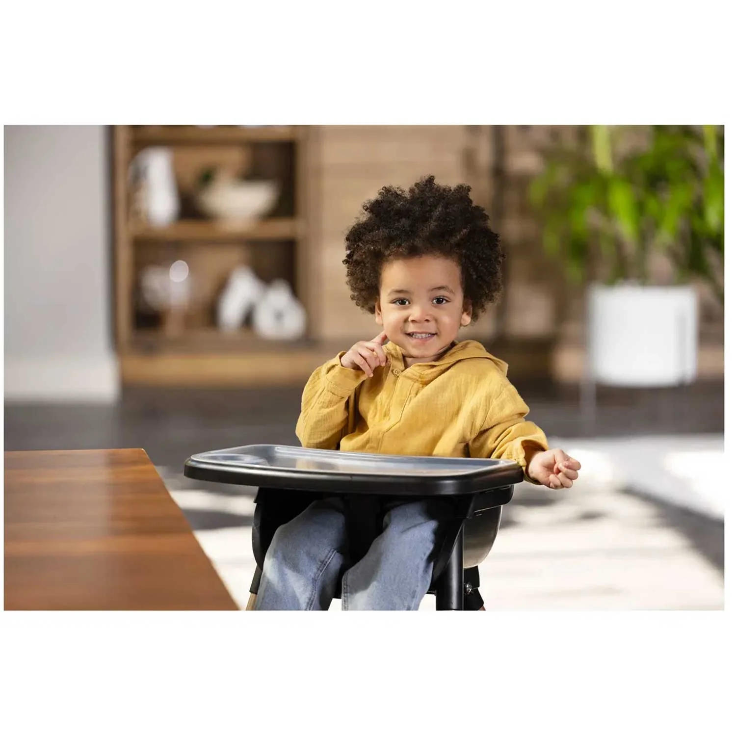 Graco - Seggiolone Pappa Presti 3in1 - Image 2