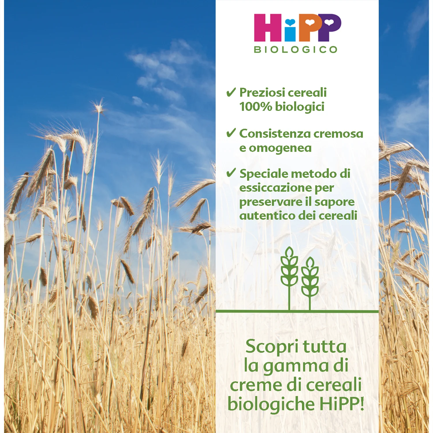 Hipp - Crema Mais E Tapioca: Confezione 200 gr - Image 2