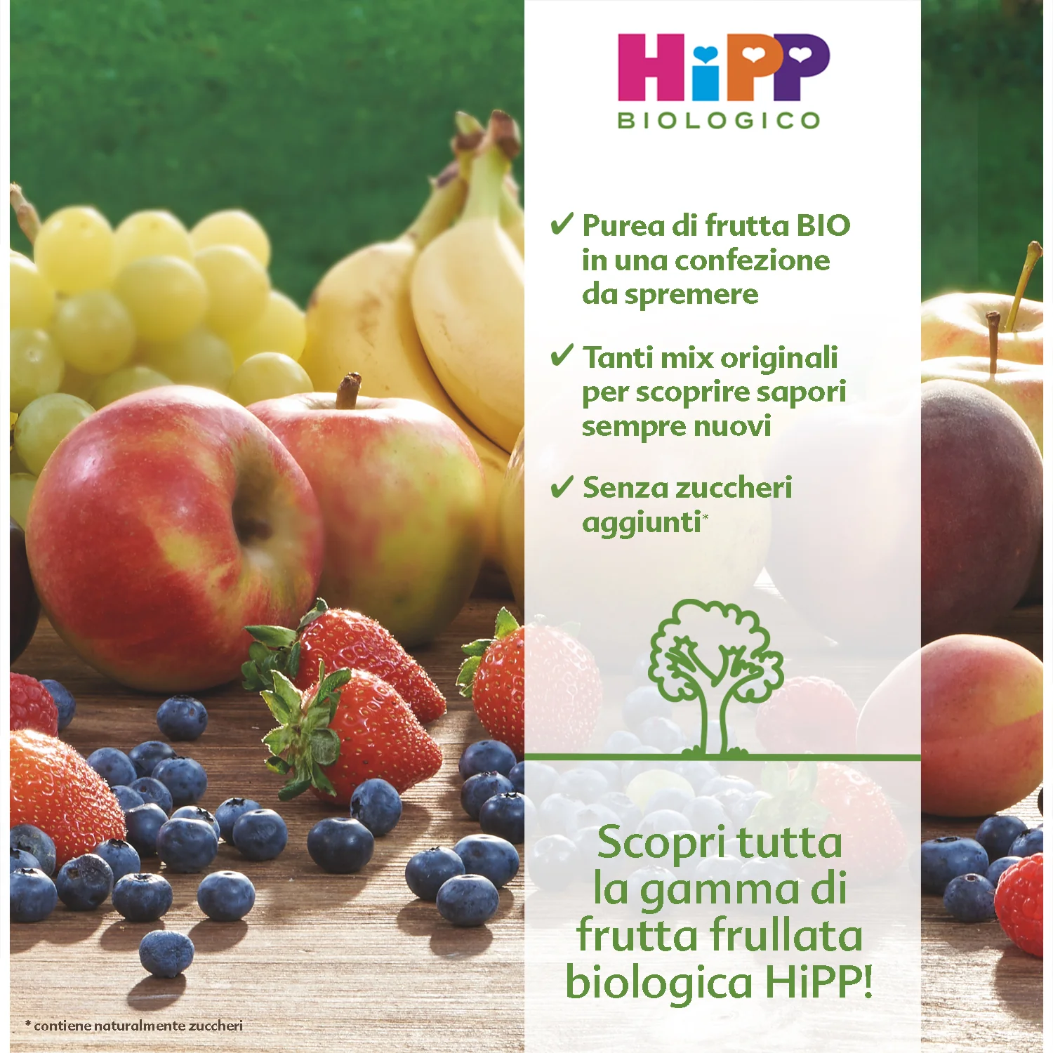 Hipp - Frutta Frullata Mela Banana Fragola: Confezione 90 gr - Image 2