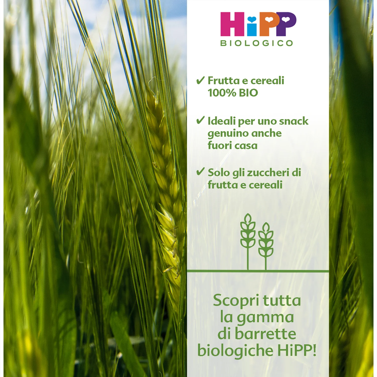 Hipp - Frutta Frullata Mela Banana Mango + Latte Di Cocco E Avena 90gr - Image 4