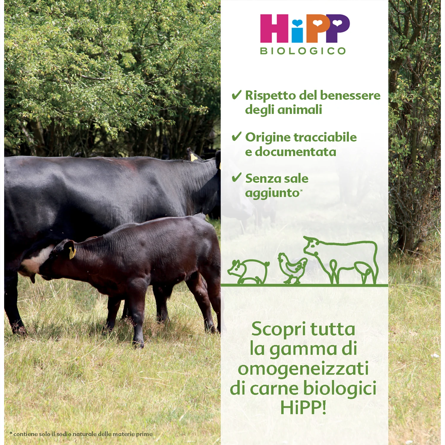 Hipp - Omogeneizzato Tacchino: Confezione Multipack 4x80gr - Image 2