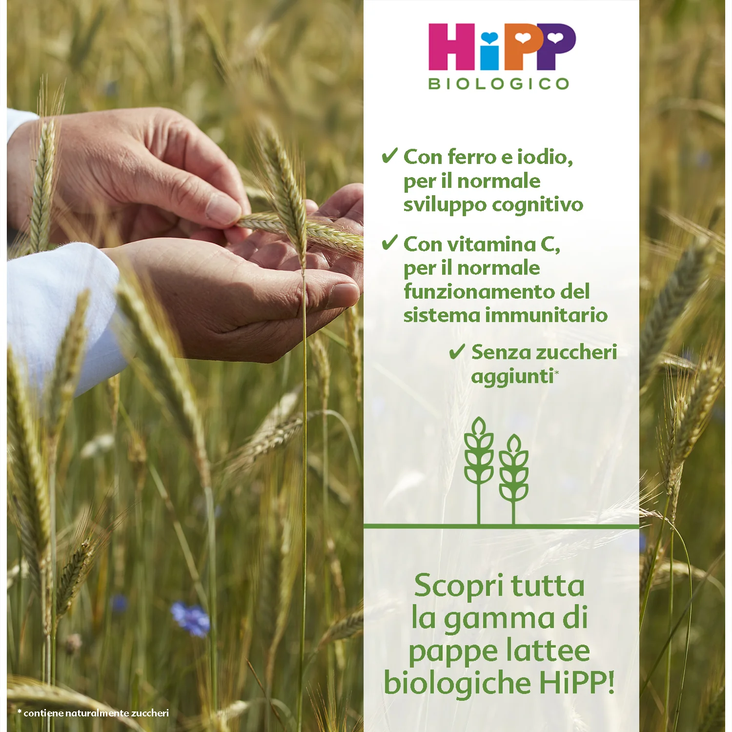 Hipp - Pappa Lattea Frutta Mista: Confezione 250 gr - Image 2