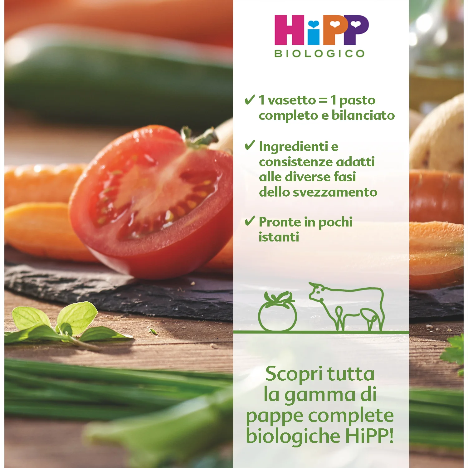 Hipp - Pappa Pronta Ditalini Alle Verdure: Confezione 250 gr - Image 2