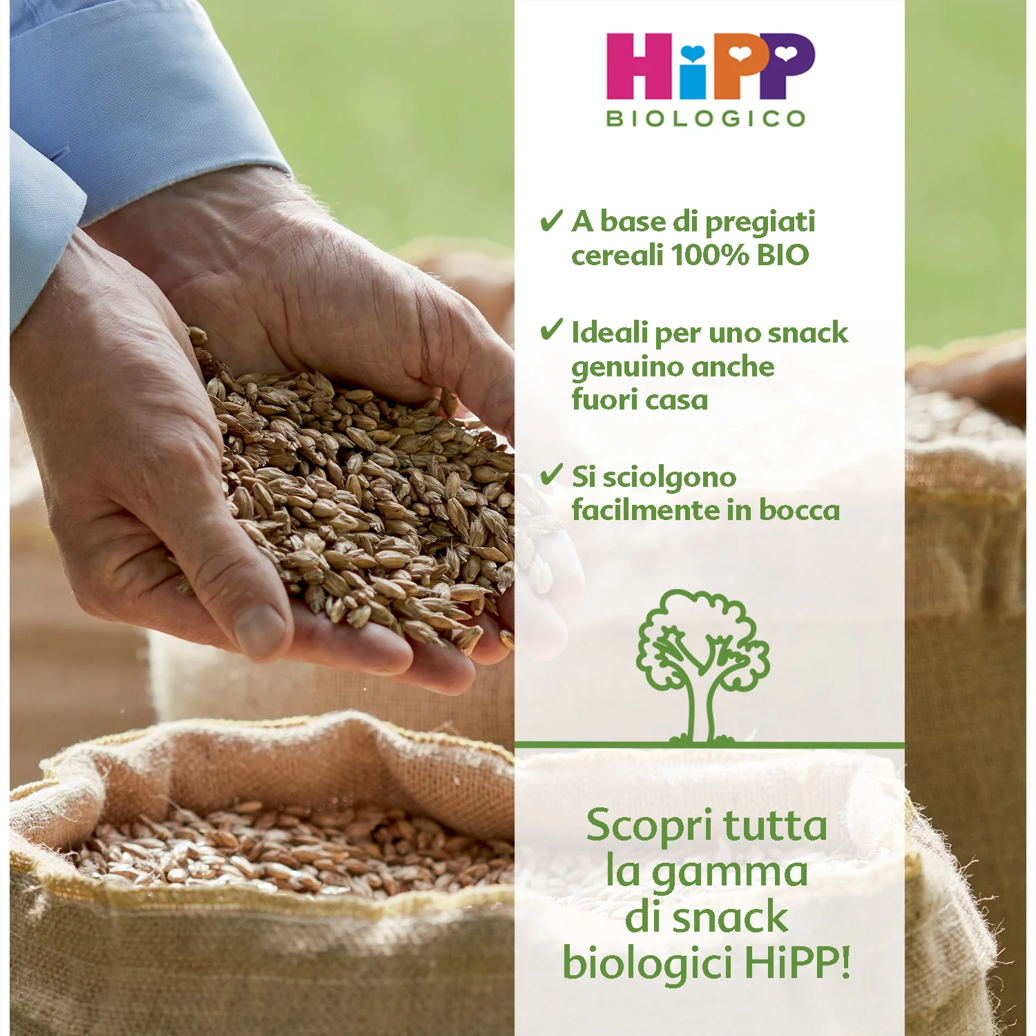 Hipp - Snack Anellini Di Cereali: Confezione 25 gr - Image 2